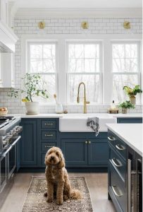 Kitchen cabinet by OU Mackson 